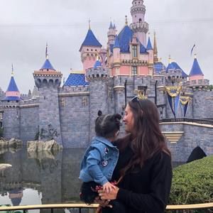 Meet your Posher, Shelby